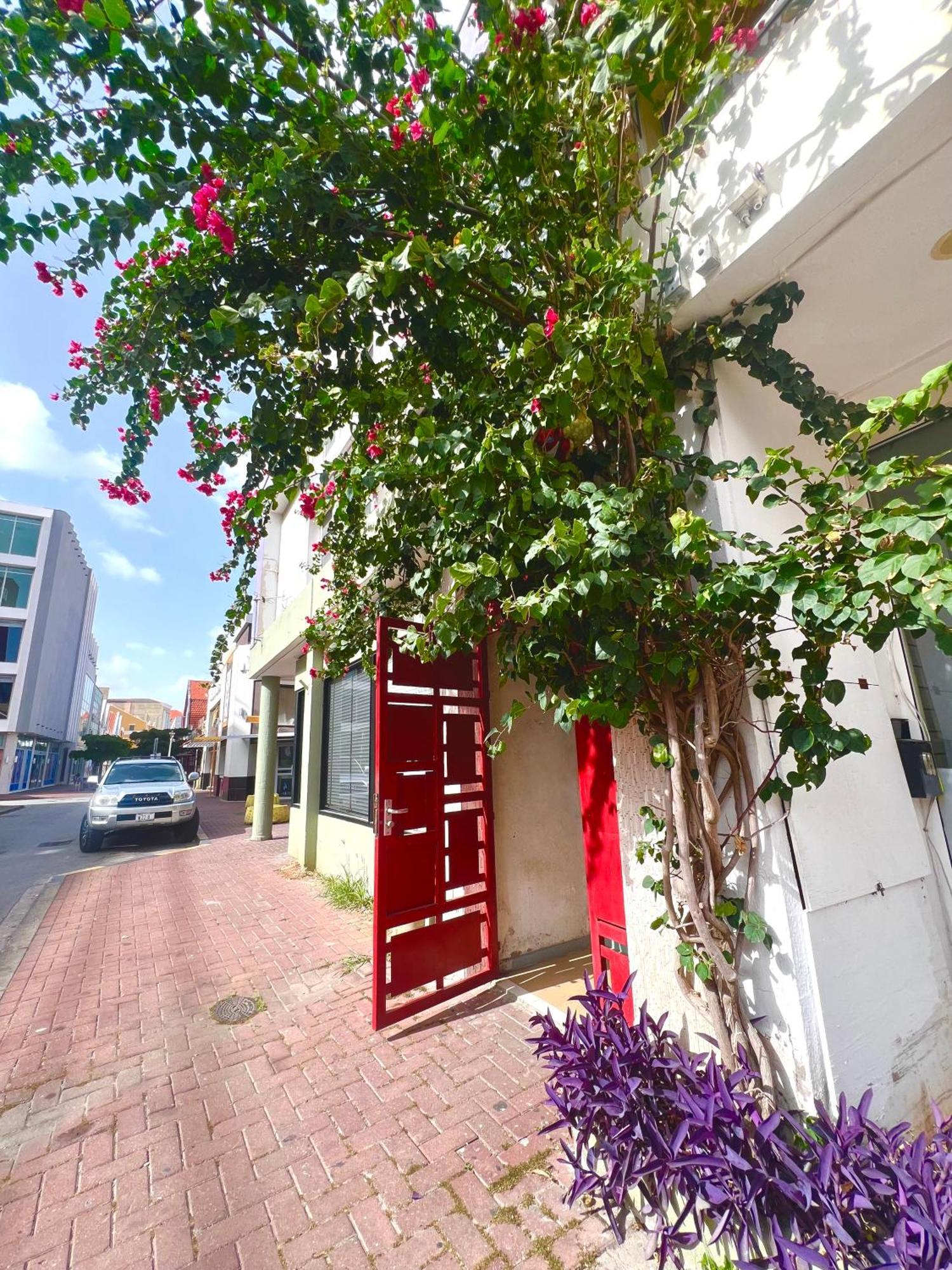 Dushi Apartments Willemstad Eksteriør billede
