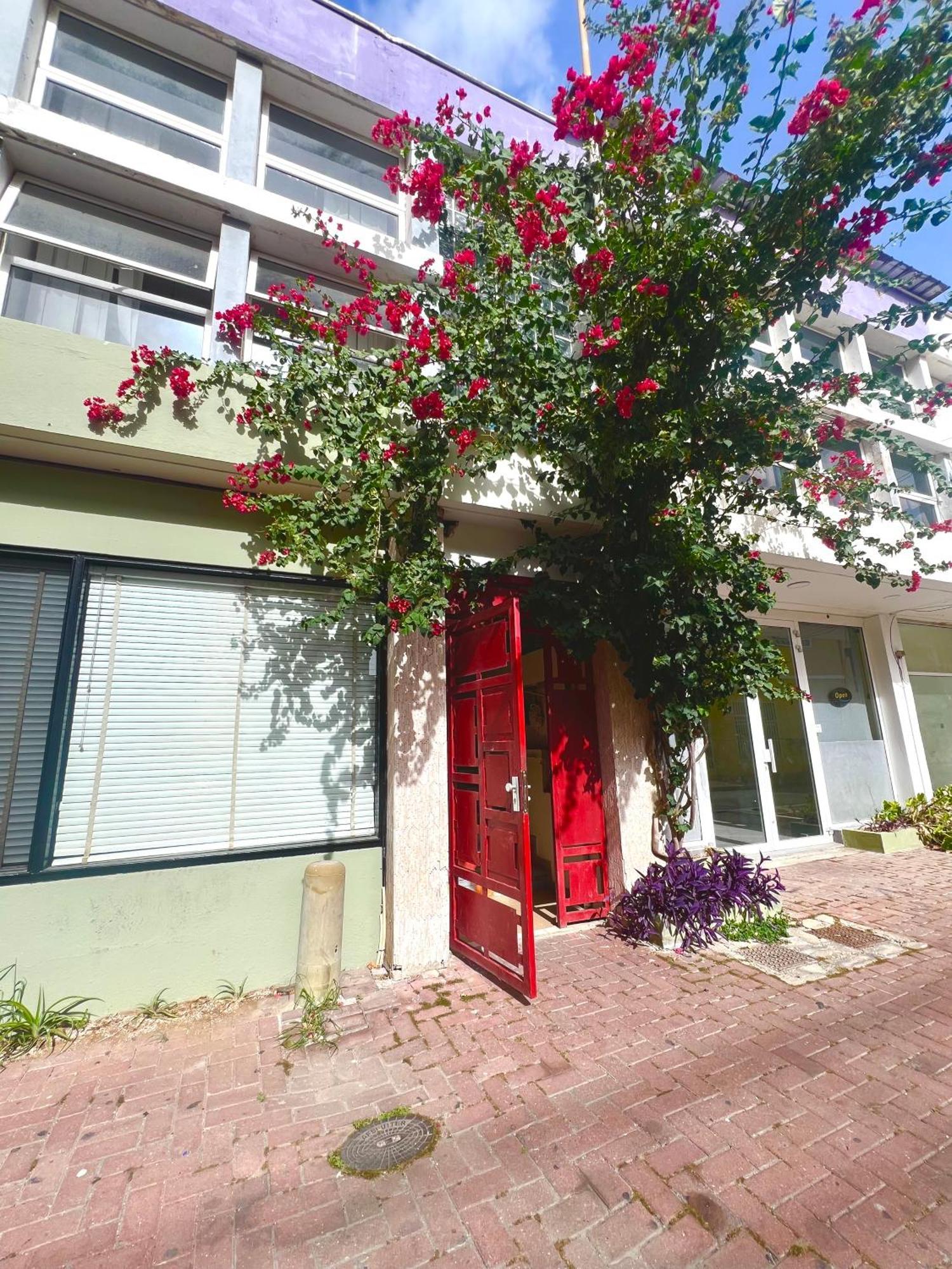 Dushi Apartments Willemstad Eksteriør billede